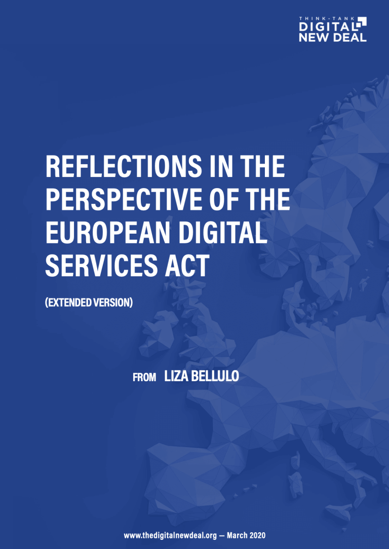 Reflections in the perspective of the European Digital Services Act